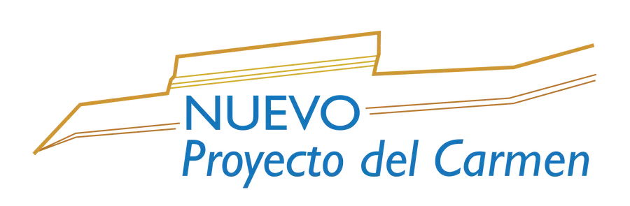 Nuevo Proyecto del Carmen